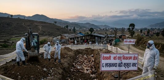 काठमाडौं उपत्यकामा बर्डफ्लु संकट: ११ जिल्लामा संक्रमण