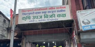स्थानीय सरकारको नमुना अभ्यास: त्रिपुरासुन्दरीको अर्गेनिक पसलले किसानदेखि उपभोक्तासम्म जित्यो विश्वास