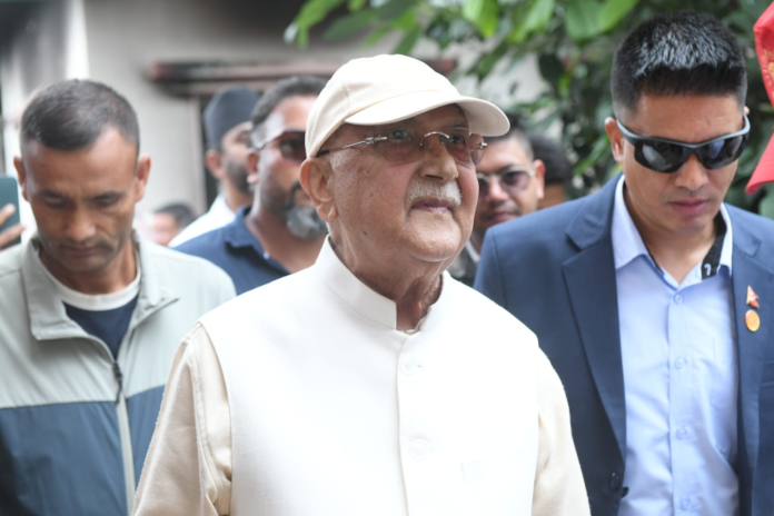 kp-oli-1